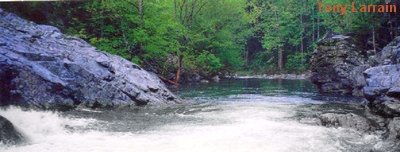 A picture of a river in the smokey mountains