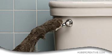 Please flush! 