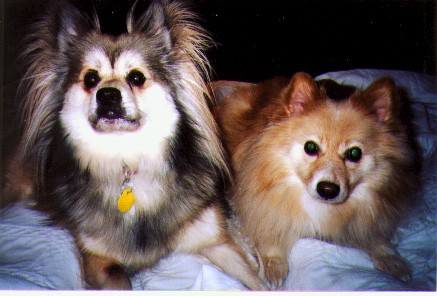 Fritzi and Eddie, summer 2001
