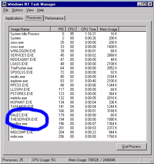 server.gif (43570 bytes)