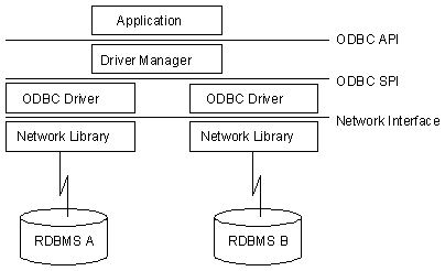 Image3.gif (3477 bytes)