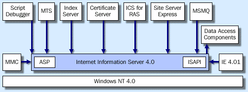 Image7.gif (13229 bytes)