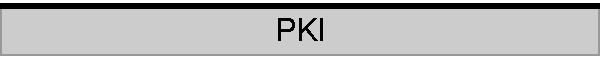 PKI