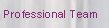 Professional Team