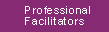 Professional Facilitators