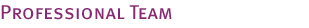 Professional Team