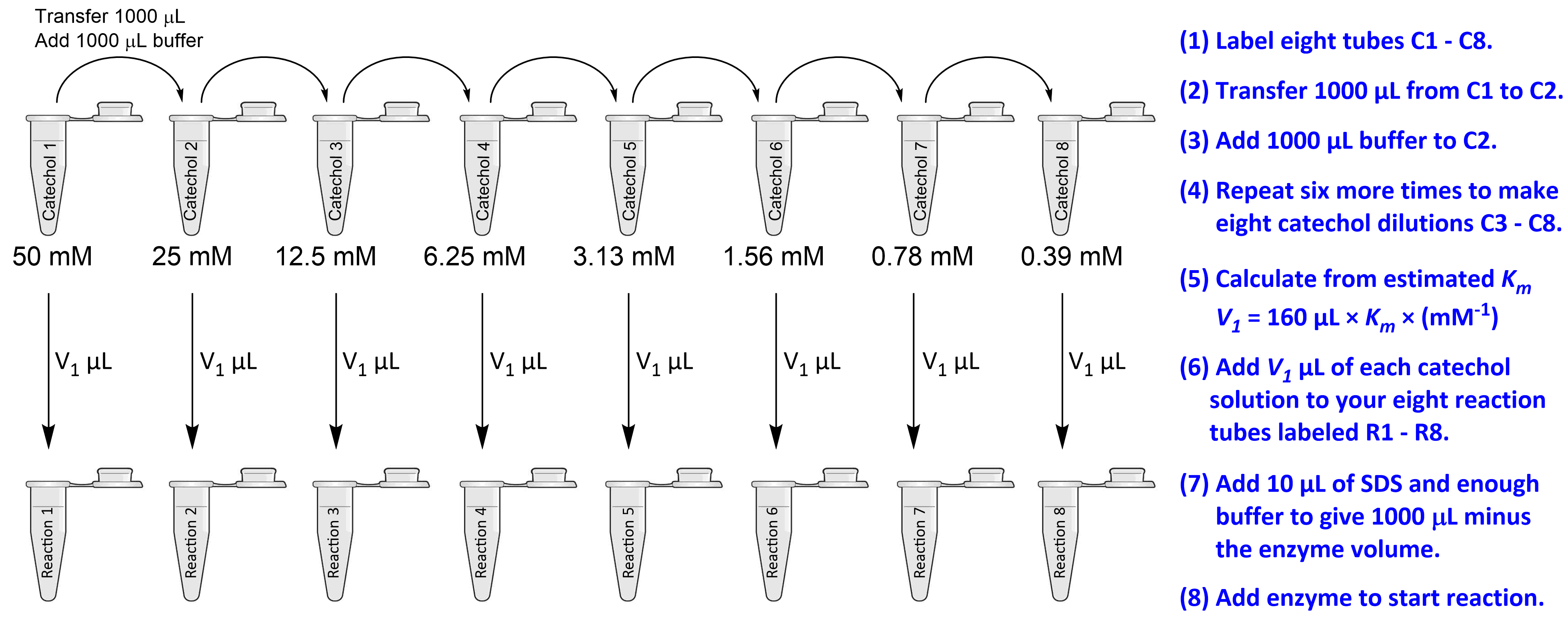 dilutions