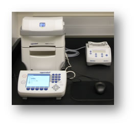 pcr
