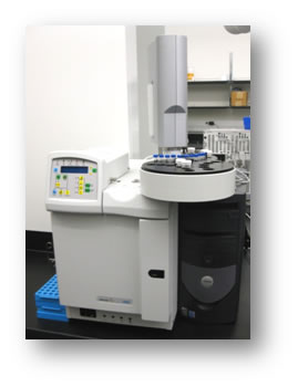 GC Varian 3900