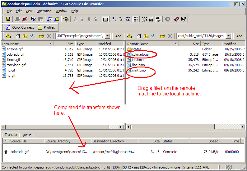 Download a file from
      the remote machine.