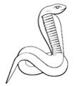 cobra.GIF (5054 bytes)