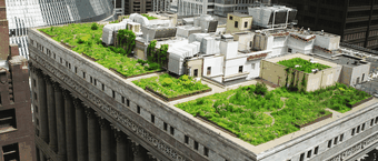 Chicago's Rooftop Gardens