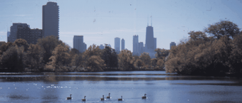 Chicago Skyline