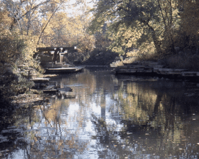 Alfred Caldwell Lily Pond