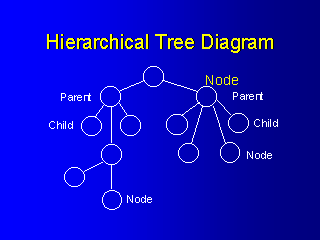 Hierarchical Tree Diagram