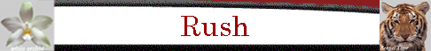 Rush
