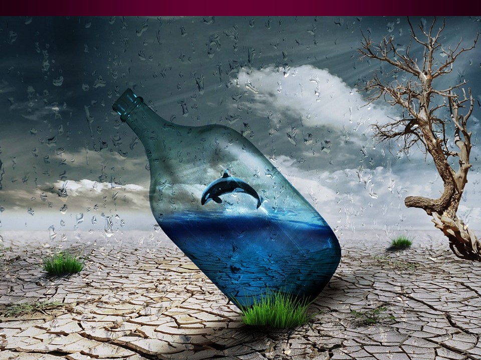 climate in bottle