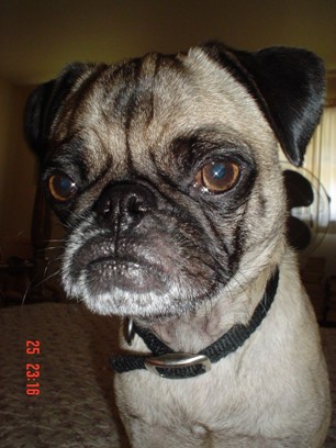 Yes, it's Otis again.