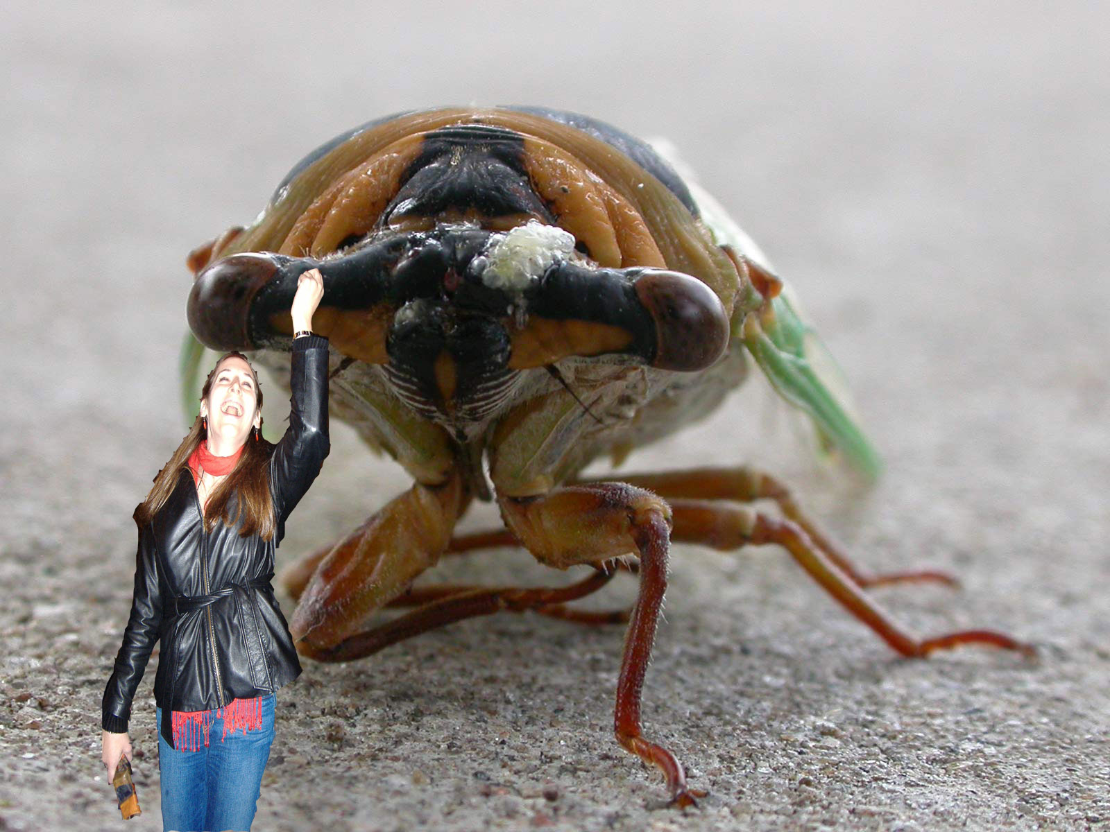 Jessica running from insect