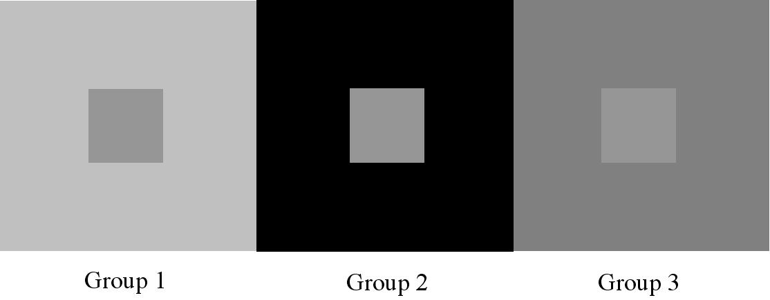 Simultaneous Contrast Effect