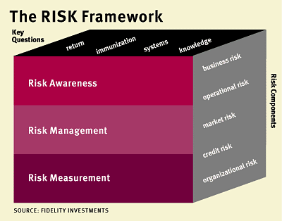 The Risk Framework