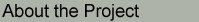 About the Project