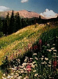 A Beautiful Colorado Landscape